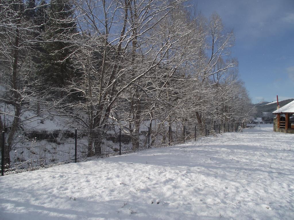 Cabana Piatra Runcului Vatra Moldovitei Bagian luar foto