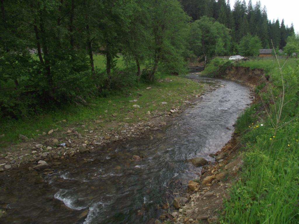 Cabana Piatra Runcului Vatra Moldovitei Bagian luar foto