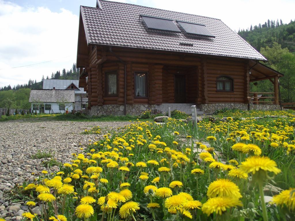 Cabana Piatra Runcului Vatra Moldovitei Bagian luar foto