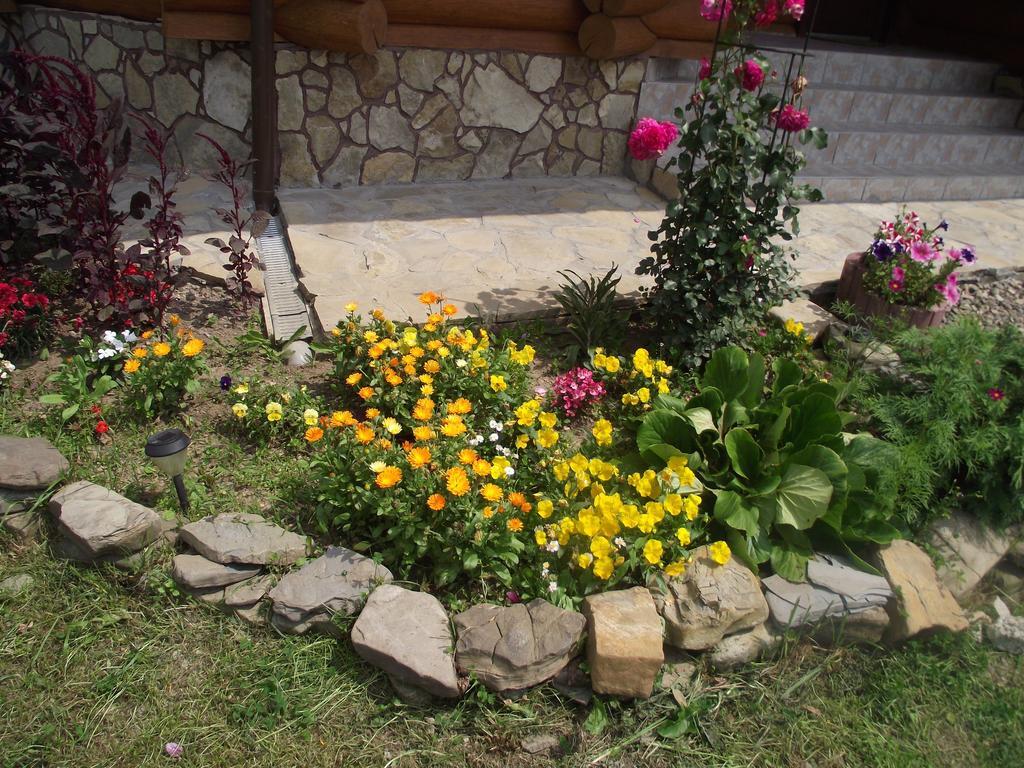 Cabana Piatra Runcului Vatra Moldovitei Bagian luar foto