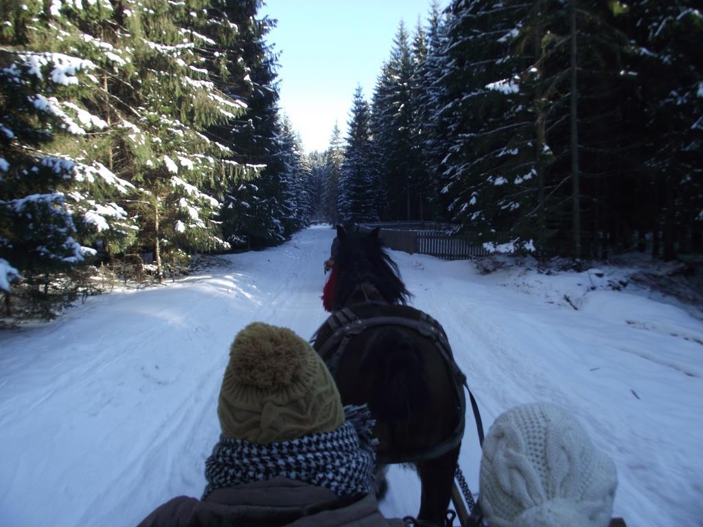 Cabana Piatra Runcului Vatra Moldovitei Bagian luar foto