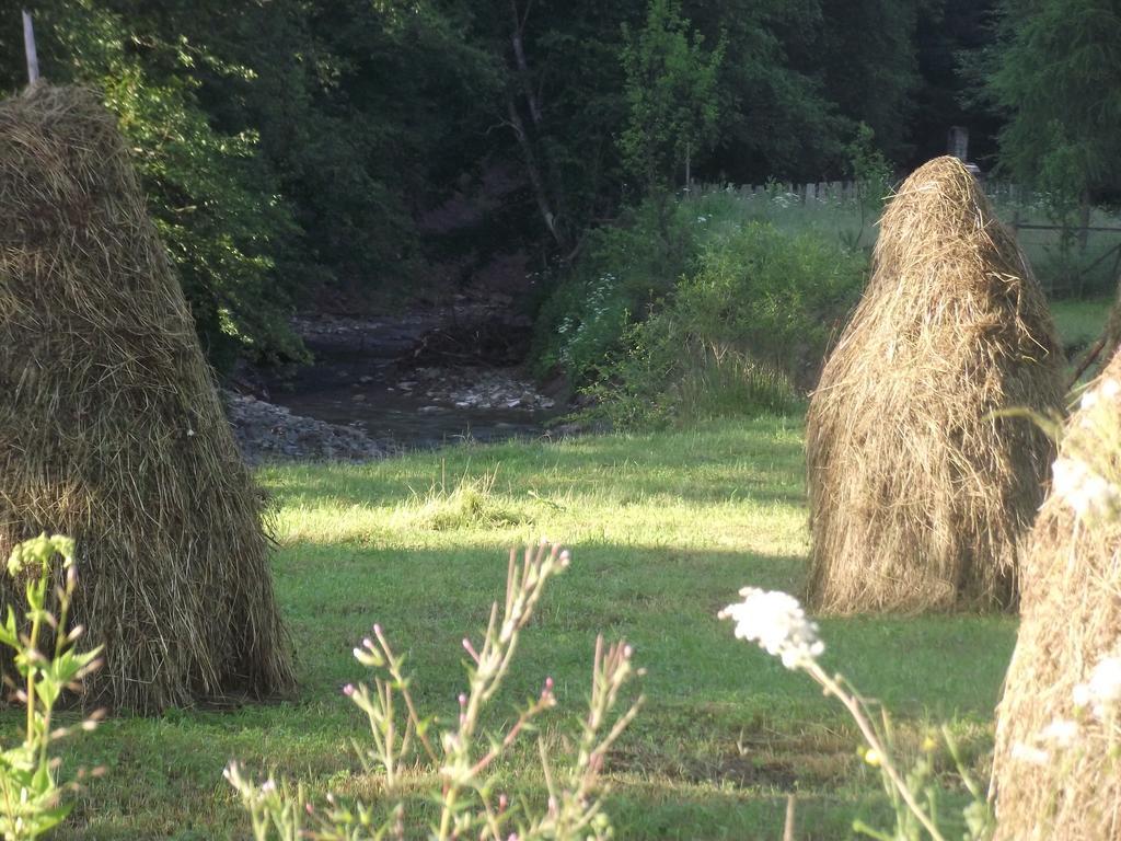 Cabana Piatra Runcului Vatra Moldovitei Bagian luar foto